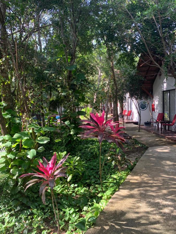 Chemuyil Ecovergel Hotel Riviera Maya מראה חיצוני תמונה
